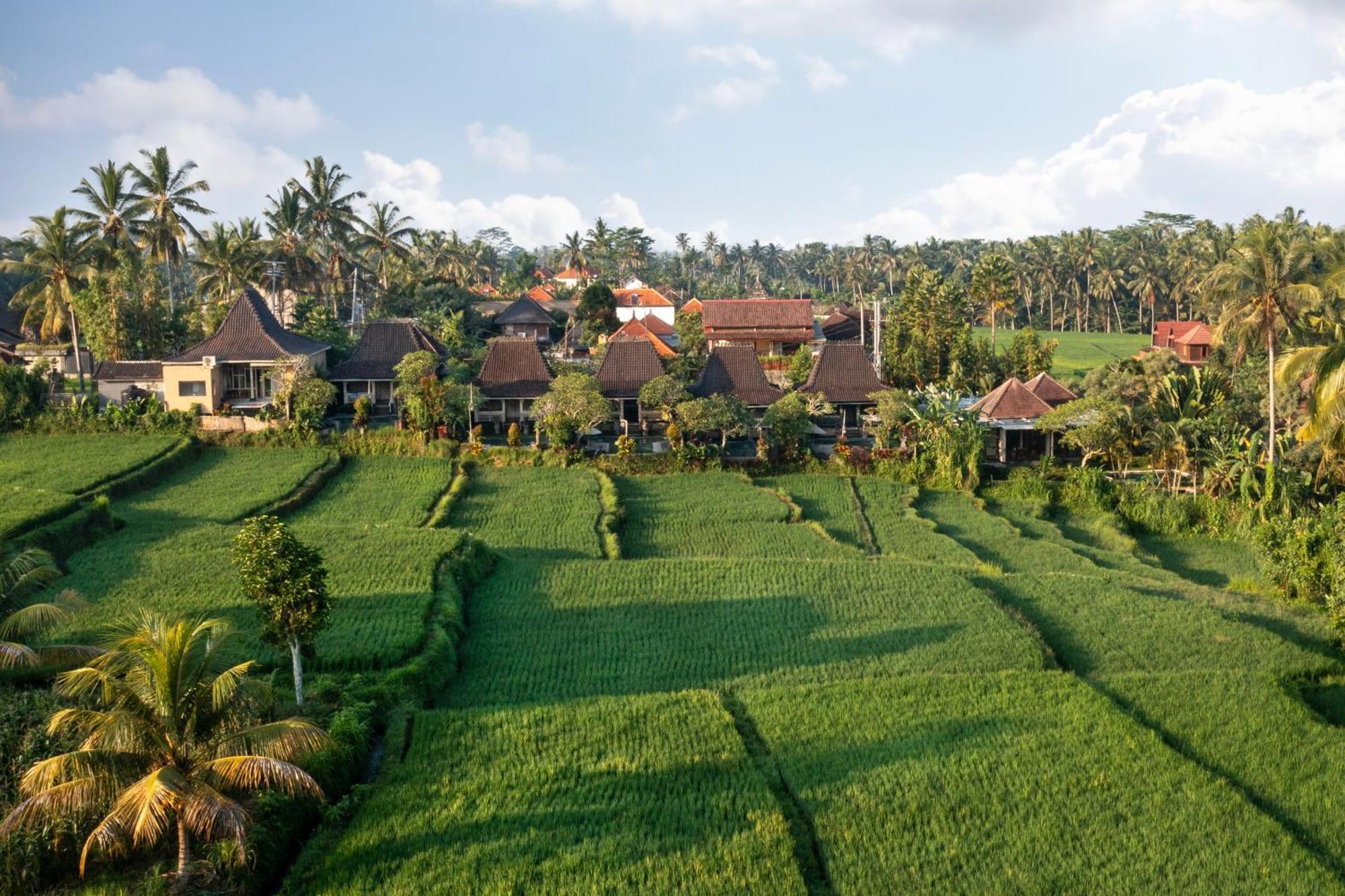 Wooden Ganeca Villas By Pramana Villas Ubud Exteriér fotografie