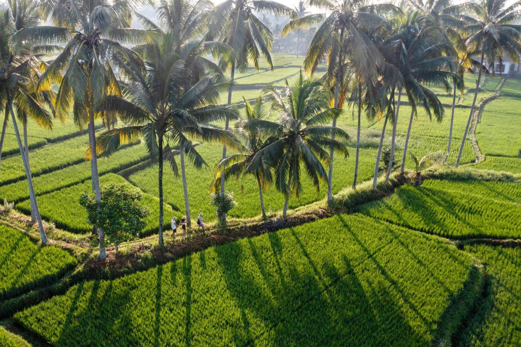 Wooden Ganeca Villas By Pramana Villas Ubud Exteriér fotografie